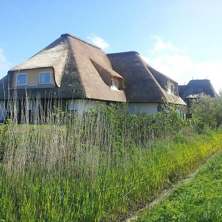 Haus-Duewelswarft-Whg-Delphin Apartment Sankt Peter-Ording Ngoại thất bức ảnh
